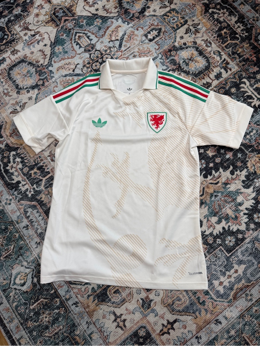 Adidas Wales ‘26 Away Authentic Jersey